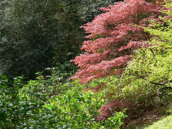 Bois des Moutiers (57) Mai 2012